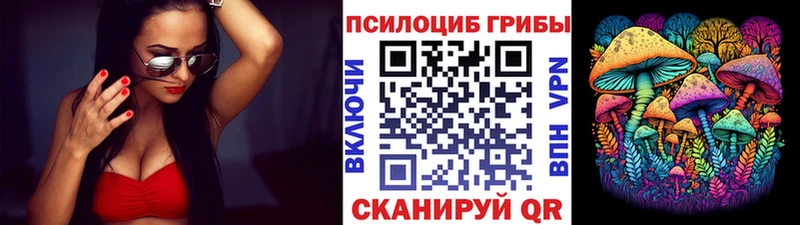 Псилоцибиновые грибы Psilocybine cubensis Тарко-Сале